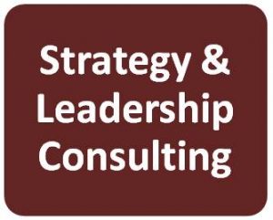Strat & Leadership Consult